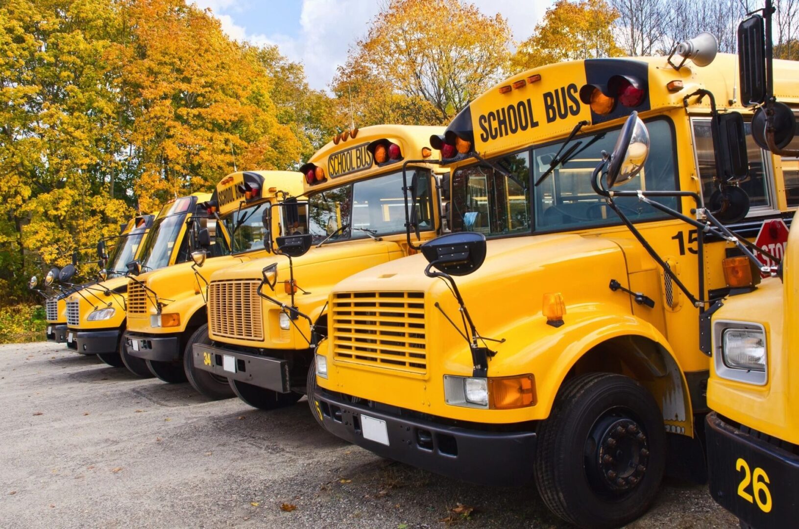 A row of school buses parked in the parking lot.